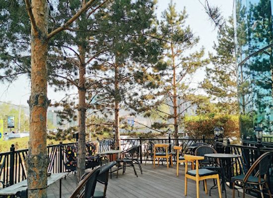 mongolia/lake-khovsgol/restaurant/cosy-club