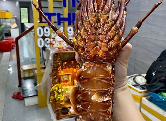 vietnam/tam-ky/restaurant/vua-hai-san-tuoi-song-tri-thuc