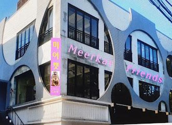 south-korea/seoul/restaurant/meerkat-friends