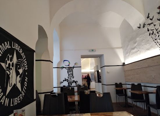 austria/linz/restaurant/front-food