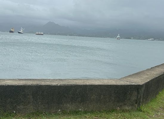 fiji/central-division/restaurant/view