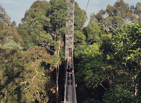 brunei/belalong-canopy-walkway/restaurant/ulu-temburong-canopy-walk
