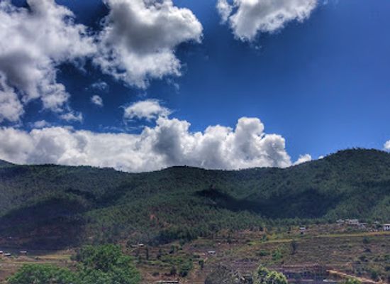 bhutan/punakha/restaurant/5-angels-restaurant