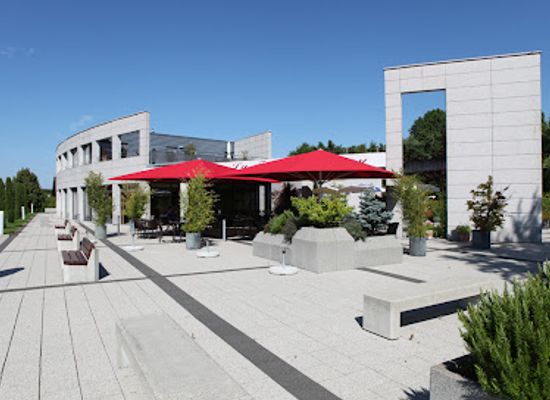 switzerland/vaud/restaurant/table-de-mary