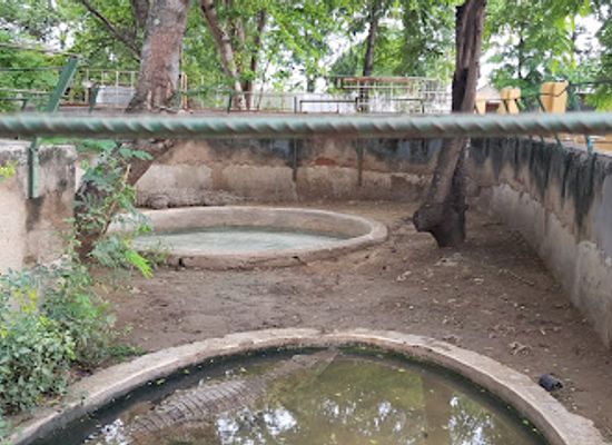 tanzania/mikumi-national-park/restaurant/genesis-motel