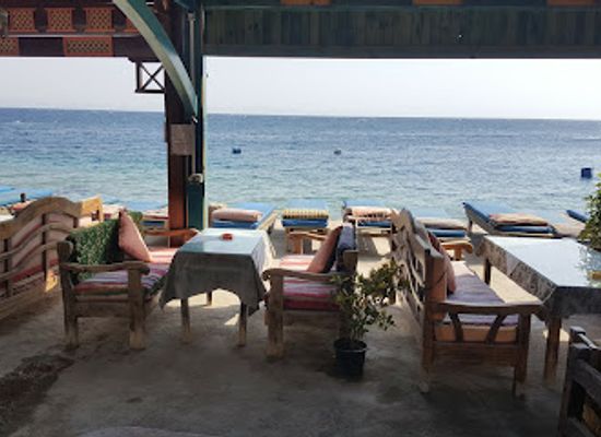 egypt/dahab/restaurant/yalla-bar-dahab