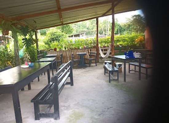 ecuador/napo-region/restaurant/alli-micuna-nambi