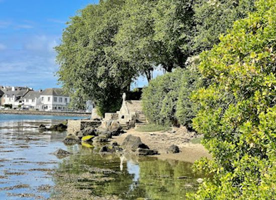 france/brittany-coast/restaurant/les-algues-marines