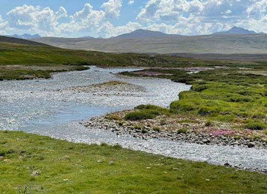 pakistan/deosai-national-park/restaurant/deosai-camping