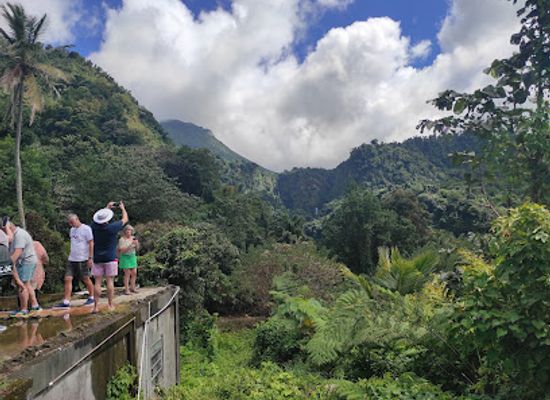 dominica/trafalgar-falls/restaurant/view-point-restaurant-and-bar