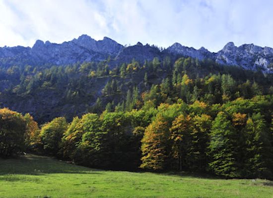 austria/kalkalpen-national-park/restaurant/obf-nationalparkbetrieb-kalkalpen