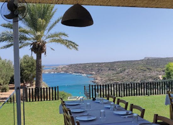 cyprus/cape-greco/restaurant/spartiatis-restaurant