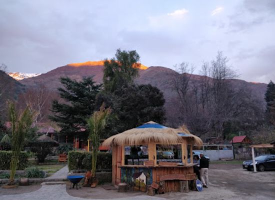 chile/aconcagua-valley/restaurant/paladino-restaurant