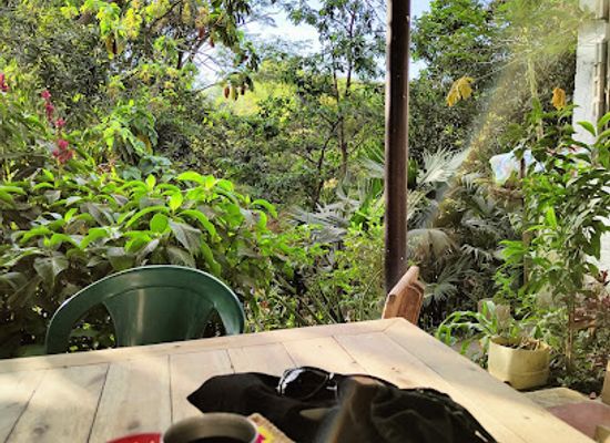 colombia/ciudad-perdida/restaurant/restaurante-donde-orfi