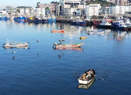 chile/concepcion/restaurant/mercado-de-pescados-y-mariscos-de-talcahuano