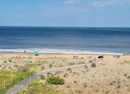 delaware/cape-henlopen-state-park/restaurant/salt-air