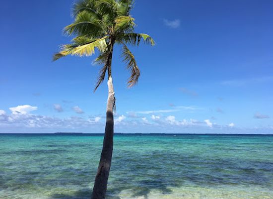 marshall-islands/majuro/restaurant/pacific-pure-water-inc