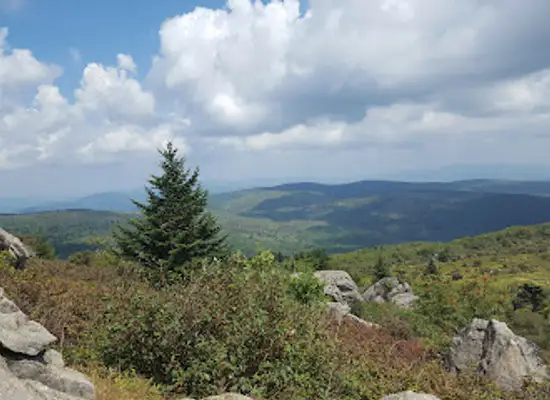 virginia/mount-rogers-national-recreation-area/restaurant/mount-rogers-national-recreation-area