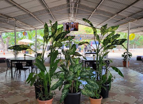 panama/pedasi/restaurant/candy-s-restaurant