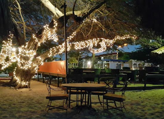aruba/noord/restaurant/passions-on-the-beach