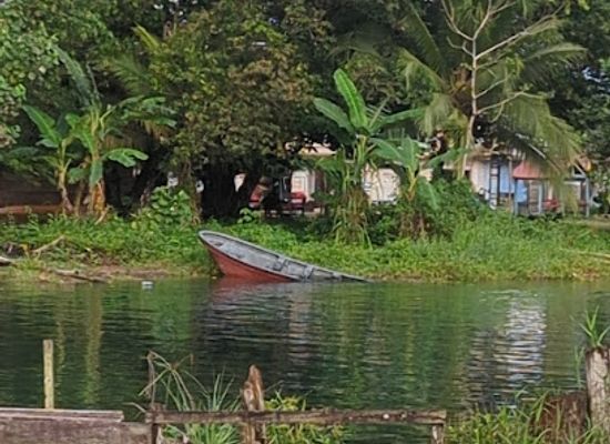 colombia/choco-biogeographic-region/restaurant/asadero-de-pollos-y-tienda-de-artesanias-el-manglar
