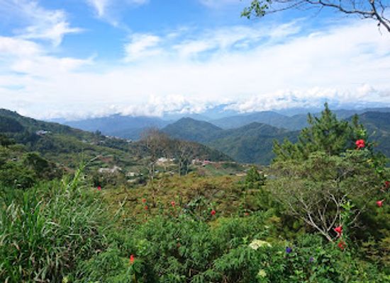 malaysia/kinabalu-national-park/restaurant/mount-borneo-restaurant-serve-no-pork