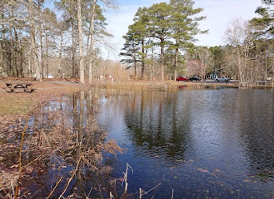 maryland/eastern-shore/restaurant/pocomoke-river-state-park-shad-landing