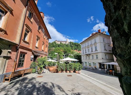 slovenia/ljubljana/restaurant/peti-181-restaurant