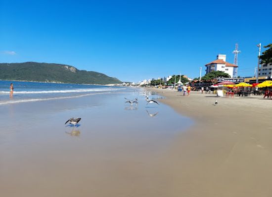 brazil/florianopolis/ingleses-do-rio-vermelho/restaurant/restaurante-petiscaria-porto-da-ilha