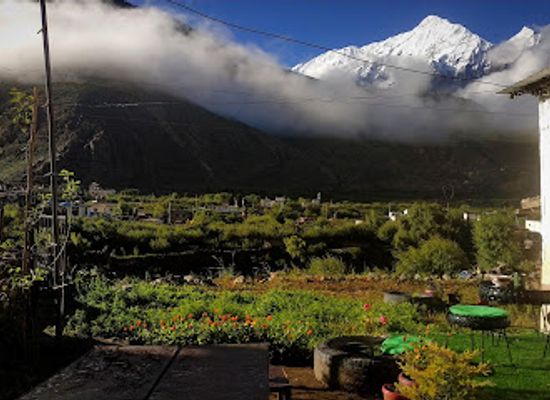 nepal/dolpo/restaurant/bagaincha-cafe-and-garden-restaurant