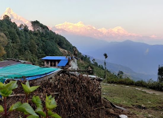 nepal/poon-hill/restaurant/green-view-pothana