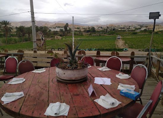 jordan/ghor-al-safi/restaurant/nea-local-food