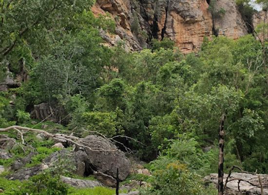australia/kakadu-national-park/restaurant/nanguluwurr-art-site