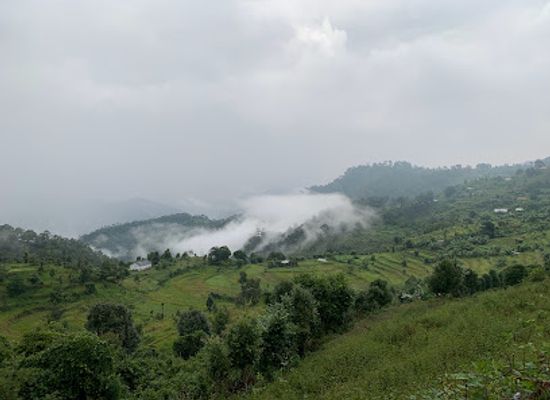 india/the-himalayas/restaurant/the-himalayan-cafe-shyamlatal