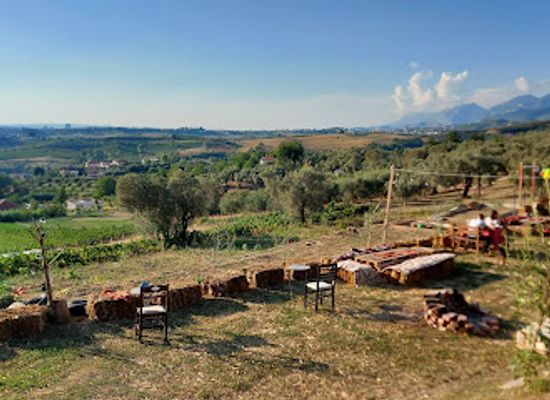 albania/tirana-plain/restaurant/turtle-farm-albania