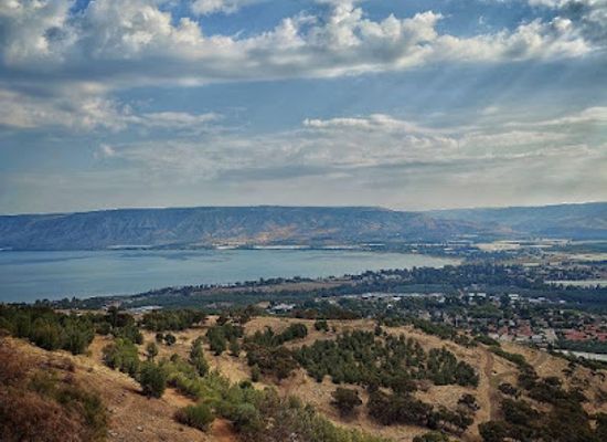 israel/jezreel-valley/restaurant/tzel-tamar