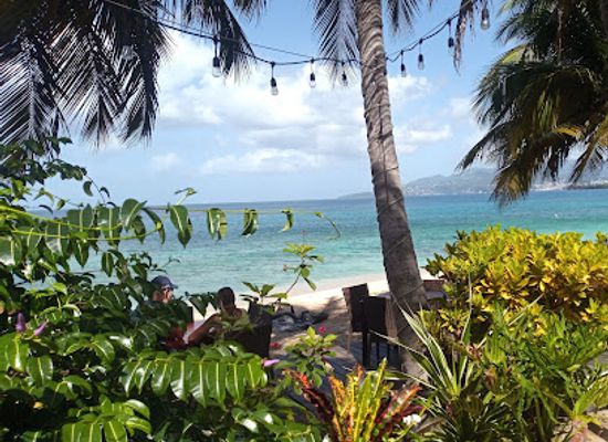 grenada/black-bay-beach/restaurant/aquarium