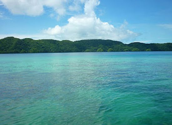 palau/rock-islands/restaurant/palm-bay-bistro