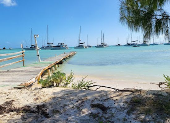 british-virgin-islands/anegada-beaches/restaurant/whispering-pines