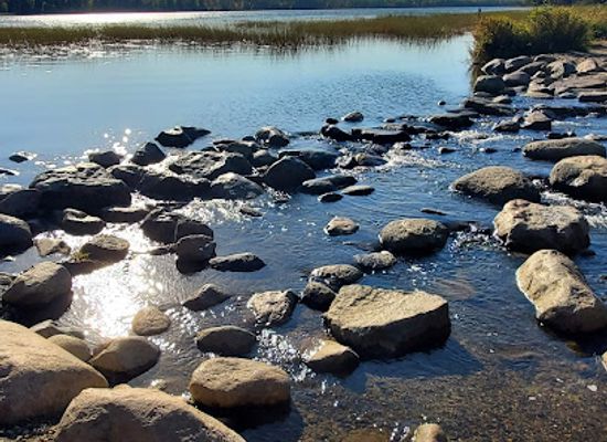 minnesota/mississippi-headwaters/restaurant/mary-gibbs-mississippi-headwaters-center
