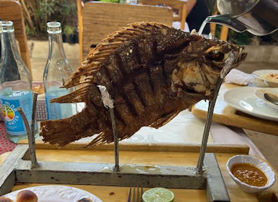 ethiopia/arbaminch/restaurant/jf-garden-fish-wine-restaurant