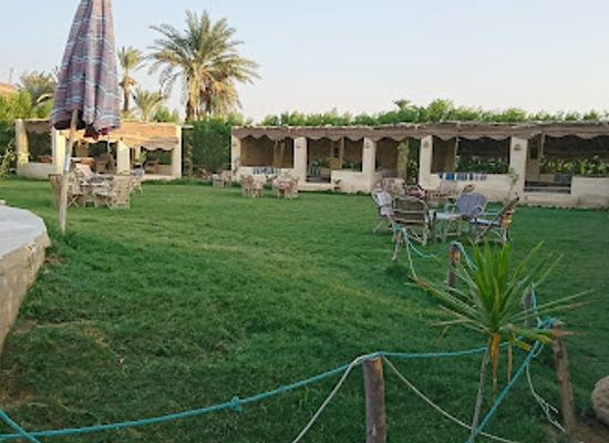 egypt/faiyum-oasis/restaurant/tunis-cafeteria