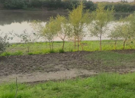 azerbaijan/ali-bayramli/restaurant/cayxana