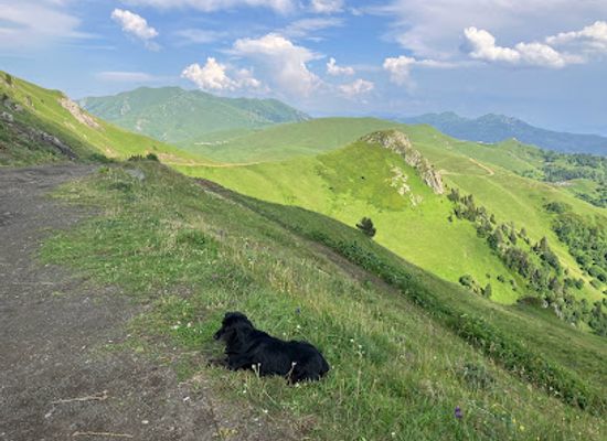georgia/akhaltsikhe/restaurant/zekari