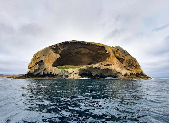 australia/wilson-s-promontory-national-park/restaurant/wilsons-promontory-cruises