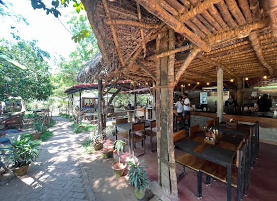 india/pondicherry/auroville/restaurant/hope-cafe-auroville-main-road
