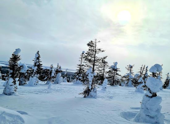 finland/riisitunturi-national-park/restaurant/the-information-board-of-riisitunturi-national-park