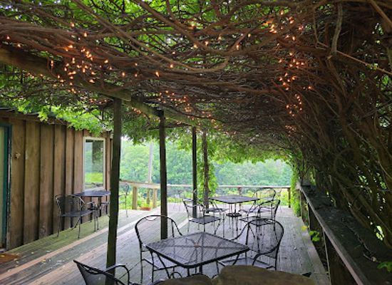 illinois/shawnee-hills/restaurant/hickory-ridge-vineyard-and-winery