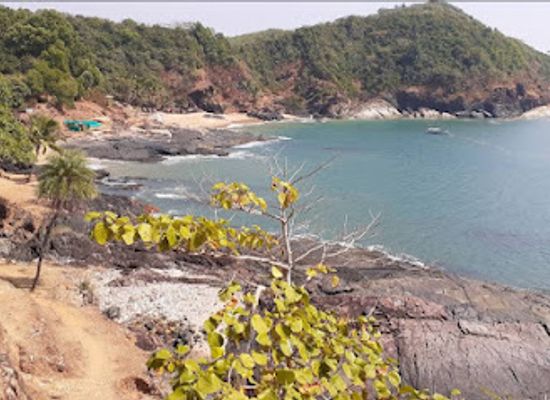 india/western-ghats/restaurant/neeleshwari-paradise-restaurant