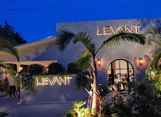 tanzania/coastal-zone/restaurant/levant